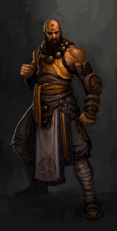 Diablo III Monk Male