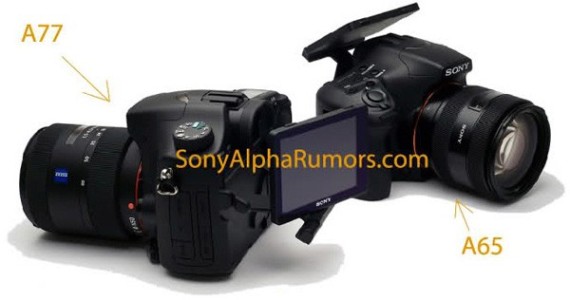 leaked sony a77 and sony a65 alpha cameras