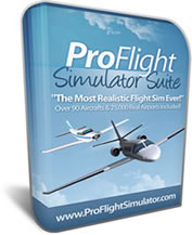 Pro Flight Simulator Reviews: The Pros and Cons